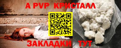 прущие грибы Тверь