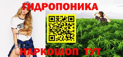 прущие грибы Тверь