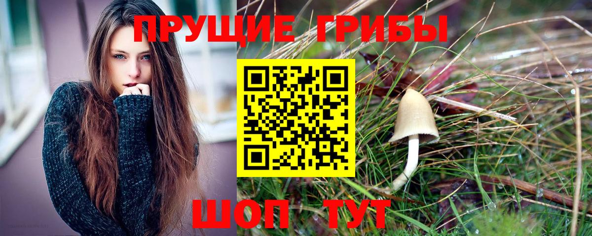 Псилоцибиновые грибы мицелий Нефтекамск